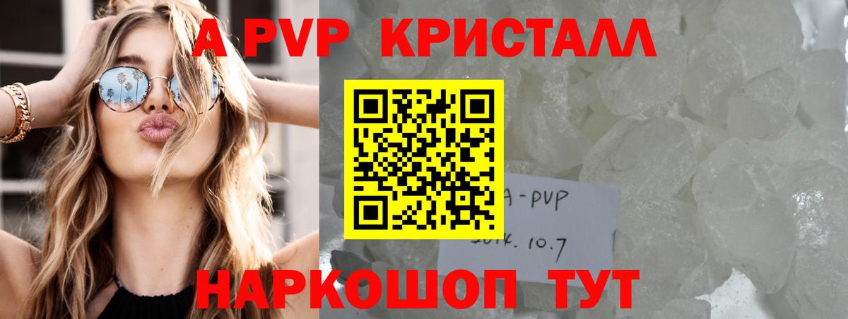 A PVP СК КРИС Кропоткин