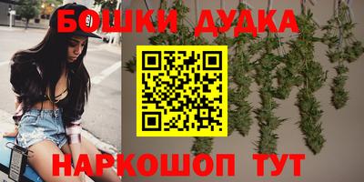 прущие грибы Канаш