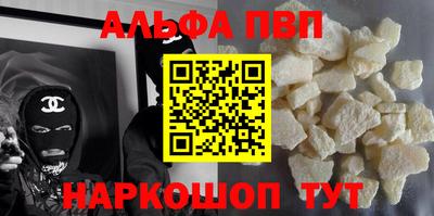 спайс Кингисепп