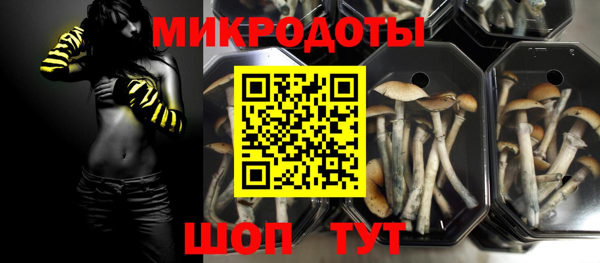 закладка  Галлюциногенные грибы MAGIC MUSHROOMS  Вход с VPN  Кропоткин  Псилоцибиновые грибы ЛСД 